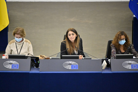 Plenartagung zum EU-Emmissionshandel im EU-Parlament in Straßburg