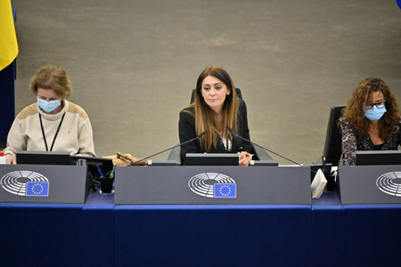 Plenartagung zum EU-Emmissionshandel im EU-Parlament in Straßburg