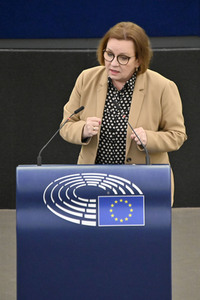 Plenartagung zum EU-Emmissionshandel im EU-Parlament in Straßburg