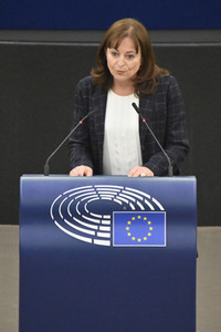 Plenartagung zum EU-Emmissionshandel im EU-Parlament in Straßburg