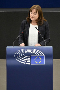 Plenartagung zum EU-Emmissionshandel im EU-Parlament in Straßburg