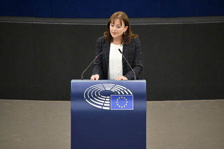 Plenartagung zum EU-Emmissionshandel im EU-Parlament in Straßburg