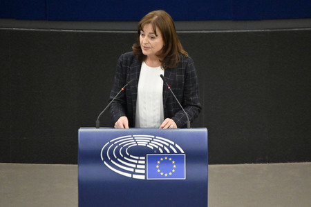 Plenartagung zum EU-Emmissionshandel im EU-Parlament in Straßburg