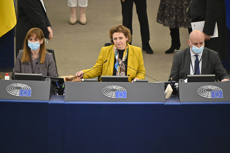 Plenartagung zum EU-Emmissionshandel im EU-Parlament in Straßburg