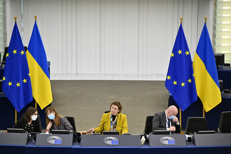 Plenartagung zum Bericht des Weltklimarats im EU-Parlament in Straßburg