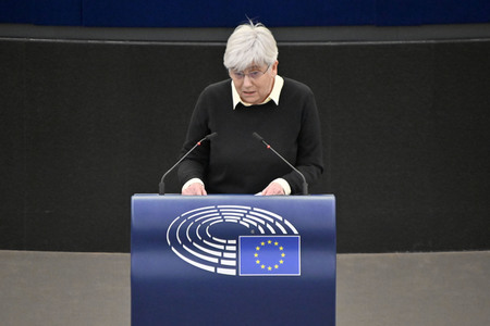 Plenartagung zur Mindestbesteuerungsrichtlinie im EU-Parlament in Straßburg