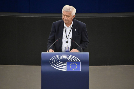 Plenartagung zur Mindestbesteuerungsrichtlinie im EU-Parlament in Straßburg