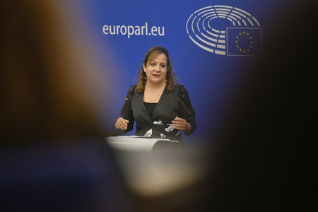 Pressebriefing der Fraktion S&D im EU-Parlament in Straßburg