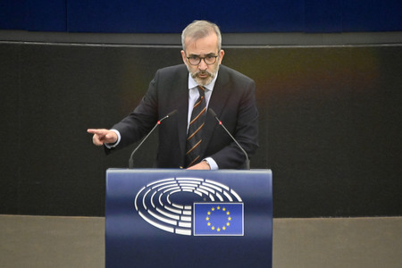 Plenartagung zu Gemeinsamkeiten des Putin-Regimes und rechtsextremer Bewegungen in Europa im EU-Parlament in Straßburg