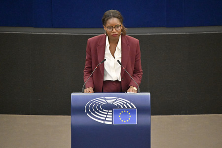 Plenartagung zu Gemeinsamkeiten des Putin-Regimes und rechtsextremer Bewegungen in Europa im EU-Parlament in Straßburg