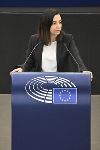 Plenartagung zu Gemeinsamkeiten des Putin-Regimes und rechtsextremer Bewegungen in Europa im EU-Parlament in Straßburg