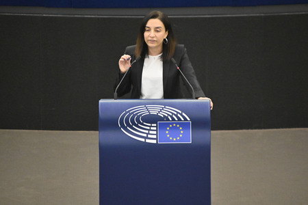 Plenartagung zu Gemeinsamkeiten des Putin-Regimes und rechtsextremer Bewegungen in Europa im EU-Parlament in Straßburg