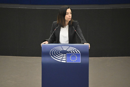 Plenartagung zu Gemeinsamkeiten des Putin-Regimes und rechtsextremer Bewegungen in Europa im EU-Parlament in Straßburg