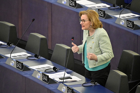 Debatte über Roma-Gemeinschaften im EU-Parlament in Straßburg