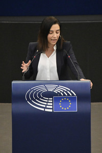 Debatte über Roma-Gemeinschaften im EU-Parlament in Straßburg