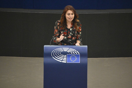 Debatte über Roma-Gemeinschaften im EU-Parlament in Straßburg