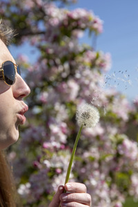 Frühling in der Schweiz