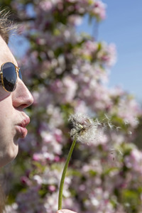Frühling in der Schweiz