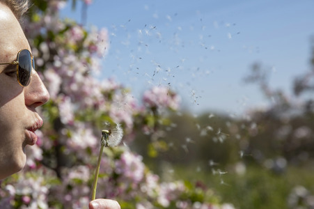 Frühling in der Schweiz