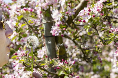 Frühling in der Schweiz