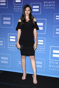 Human Rights Campaign 2022 Dinner in New York