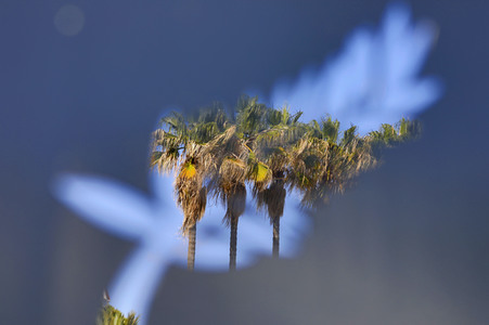 Atmosphäre beim Cannes Film Festival 2022