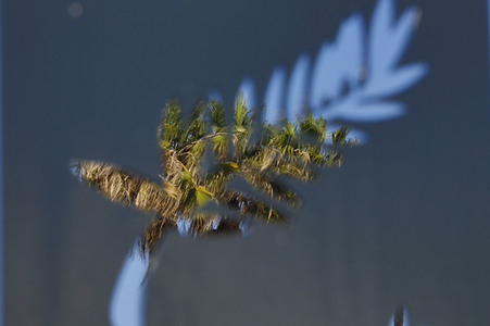 Atmosphäre beim Cannes Film Festival 2022