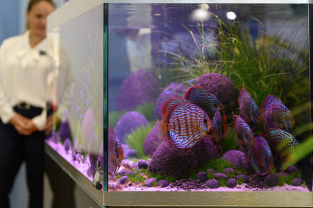 Heimtiermesse Interzoo in Nürnberg