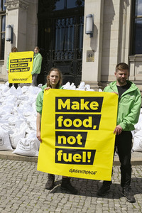 Greenpeace Protestaktion in Berlin
