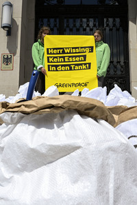 Greenpeace Protestaktion in Berlin