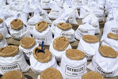 Greenpeace Protestaktion in Berlin