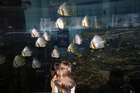 Pressefrühstück im AquaDom & Sea Life Berlin
