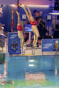 TV-Show 'RTL Turmspringen' in Berlin