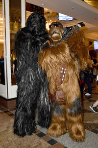 FedCon 30 in Bonn