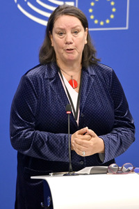 Pressekonferenz zum Mindestlohn im EU-Parlament in Straßburg