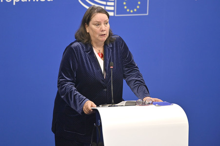 Pressekonferenz zum Mindestlohn im EU-Parlament in Straßburg