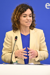Pressekonferenz zu den  EU-Inseln und die Kohäsionspolitik im EU-Parlament in Straßburg