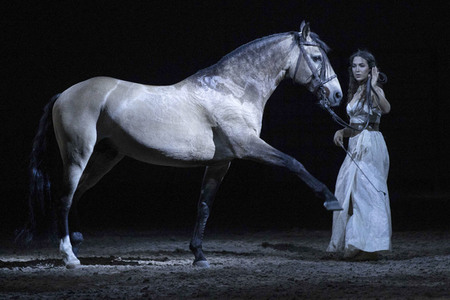 Pferdeshow 'Cavalluna - Die Legende der Wüste' in Erfurt