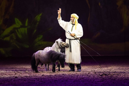 Pferdeshow 'Cavalluna - Die Legende der Wüste' in Erfurt