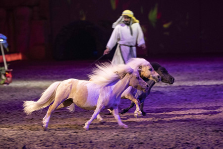 Pferdeshow 'Cavalluna - Die Legende der Wüste' in Erfurt