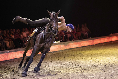 Pferdeshow 'Cavalluna - Die Legende der Wüste' in Erfurt