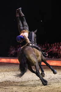 Pferdeshow 'Cavalluna - Die Legende der Wüste' in Erfurt