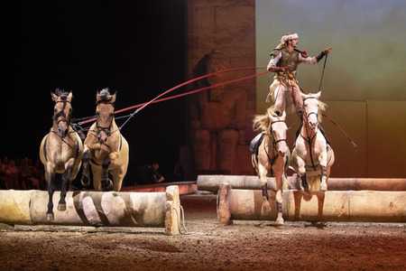 Pferdeshow 'Cavalluna - Die Legende der Wüste' in Erfurt