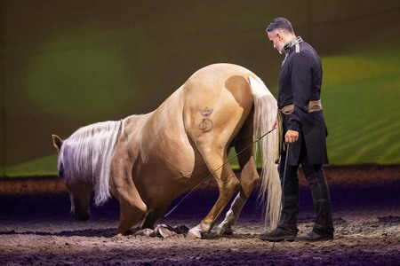 Pferdeshow 'Cavalluna - Die Legende der Wüste' in Erfurt