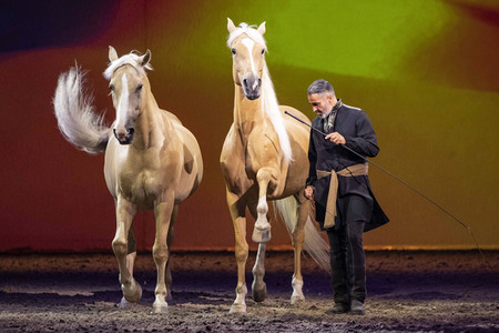Pferdeshow 'Cavalluna - Die Legende der Wüste' in Erfurt