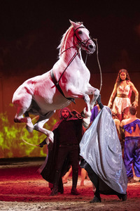 Pferdeshow 'Cavalluna - Die Legende der Wüste' in Erfurt