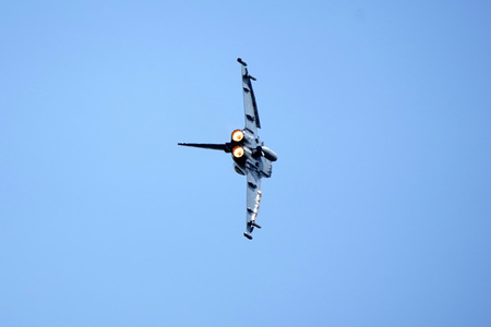 ILA-Eröffnung mit Bundeskanzler Scholz und anschließendem Rundgang in Berlin