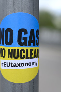 Protest zur EU-Taxonomie in Straßburg