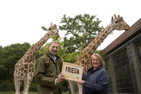 Namensgebung für Giraffennachwuchs im Tierpark Berlin