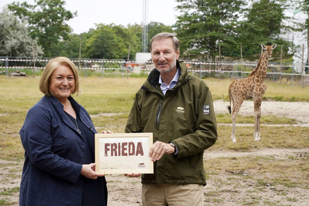 Namensgebung für Giraffennachwuchs im Tierpark Berlin